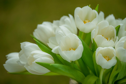 948132 (a): :2048x1365